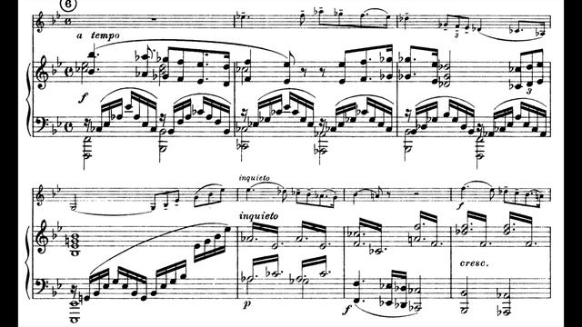 Vítězslav Novák - Violin Sonata In D Minor