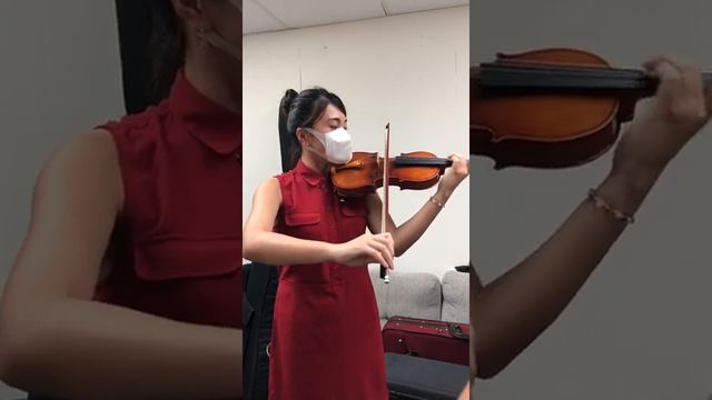 A violinist playing a violin finished by Master Luo Wen Fei смотреть онлайн