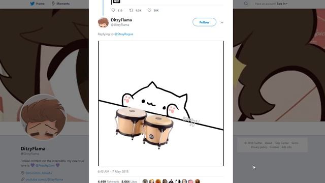 Introducing The Adorable Bongo Cat | Lessons in Meme Culture смотреть онлайн