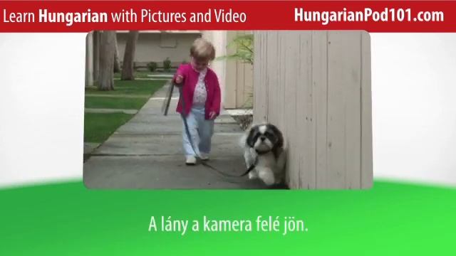 Learn Hungarian Vocabulary with Pictures and Video - Top 20 Hungarian Verbs 4 смотреть онлайн
