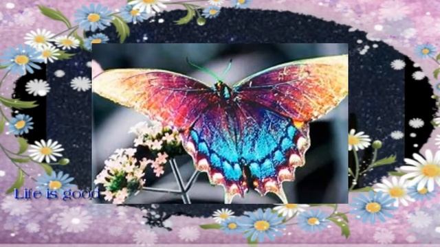 Ежедневный заговор уберегающий от болезней ! смотреть онлайн