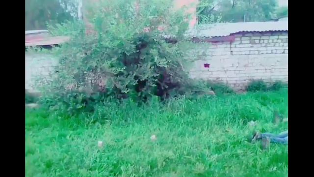 01.Устрой дестрой! ~ Клип смотреть онлайн