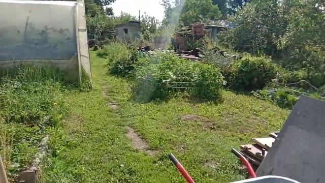 Птичий грипп.Закрыла кур в сарае.Откуда взялся голошейка? смотреть онлайн