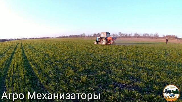 Расбрасование удобрениями второй раз за сезон на Тракторе МТЗ 82.1 смотреть онлайн