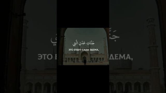 #ислам #аллах #мухаммад #коран #умма #таухид #пророкмухаммад #единобожие смотреть онлайн