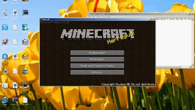 Please Help Minecraft Fullscreen CRASH!