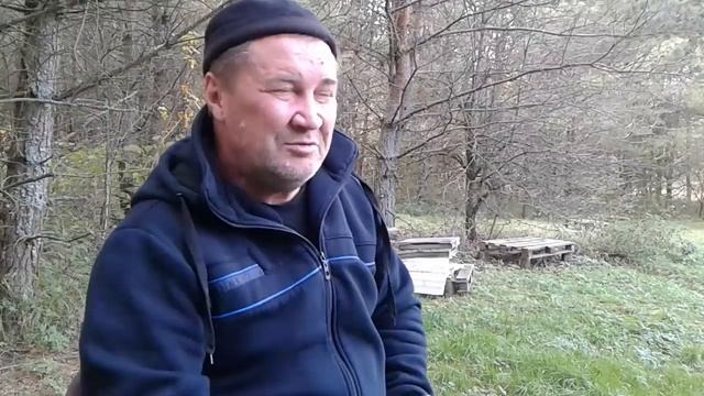 Сказки Брянского леса)) смотреть онлайн
