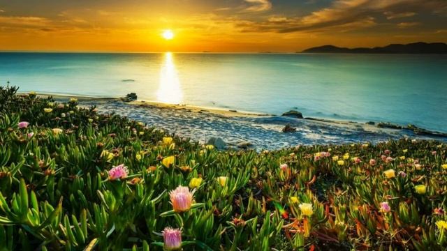 Медитация Изобилия день 3 смотреть онлайн