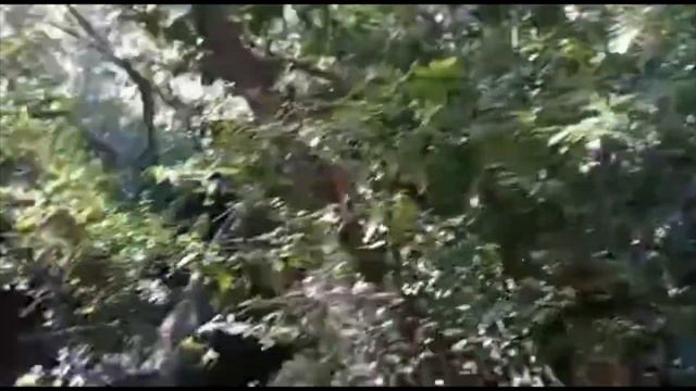Видео от Надежды. Красота!!! смотреть онлайн