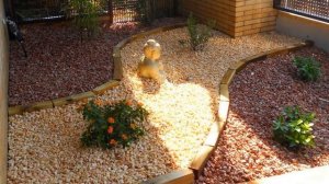 Отсыпка камнем и щепой. Декоративное мульчирование. Идеи: ландшафтный дизайн дачного участка