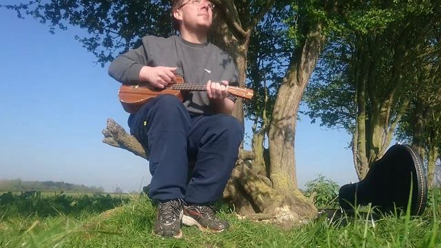 Henrietta ukulele cover by the frattellis смотреть онлайн
