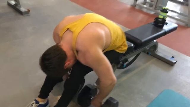 Разведение гантелей на заднюю дельту сидя, 26 кг смотреть онлайн