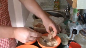 НАГЕНЦЫ ИЗ КУРИЦЫ