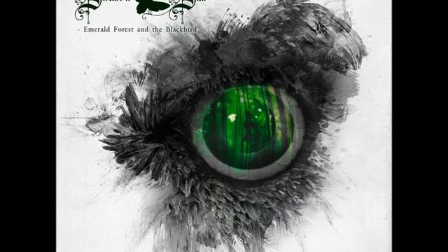 Swallow The Sun - Night Will Forgive Us смотреть онлайн