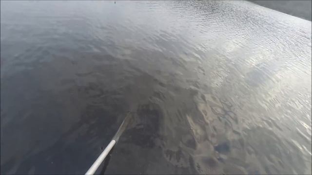 Щука на флажки поздней осенью. смотреть онлайн