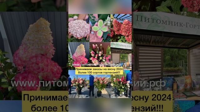 Самое масштабное событие в Москве!!! 2023 год выставка «Нетипичный Садовод» 20-21 октября. смотреть онлайн