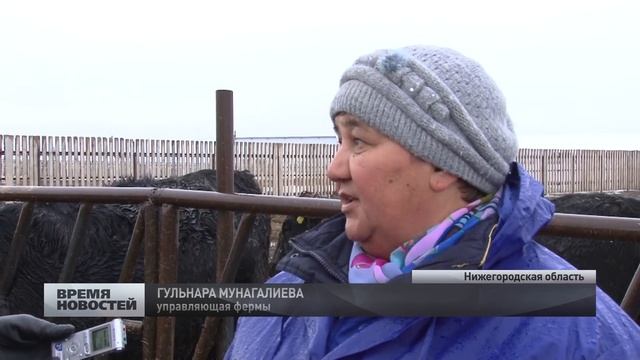 Умные фермы появились в Нижегородской области смотреть онлайн