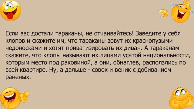 Анекдот про эффективный способ ликвидации тараканов смотреть онлайн