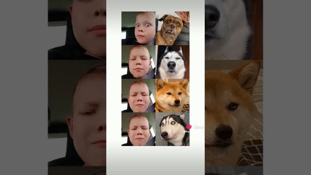 1000008197.mp4 смотреть онлайн