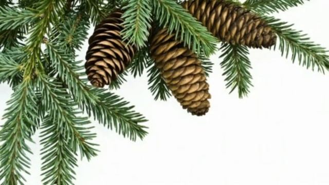 Коровий праздник. смотреть онлайн