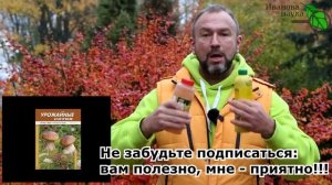 КАК Я ВЫБИРАЮ СЕННУЮ ПАЛОЧКУ. Выбираем сенную палочку по уму.