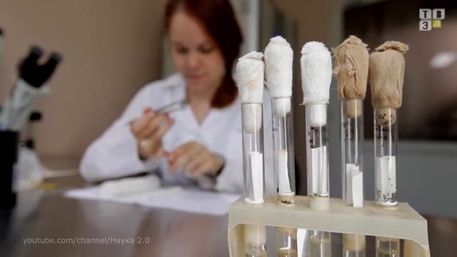 ТВЭл - Как обезопасить себя от укусов вредных насекомых и что делать, если клещ все-таки укусил? смотреть онлайн