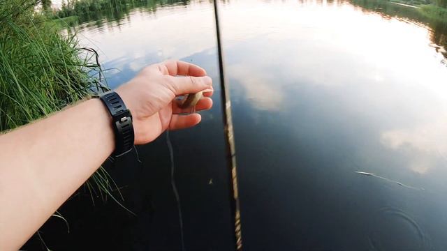 6 ВИДОВ РЫБ на Спиннинг. Это МОРМЫШИНГ Бро! смотреть онлайн