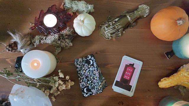 October Favorites ✨ Tarot & Oracle Decks, Books, Memories and More смотреть онлайн