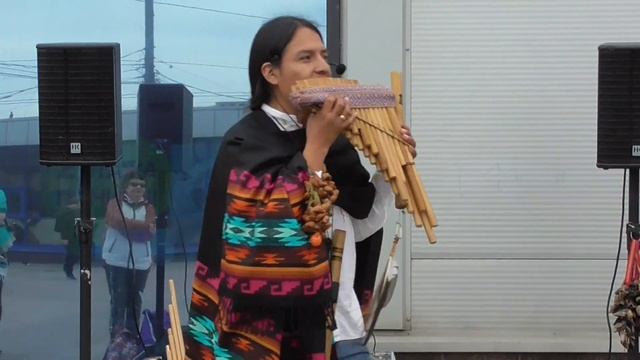 El Condor Pasa для вас! Полет кондора. Панфлейта, кена, окарина. смотреть онлайн