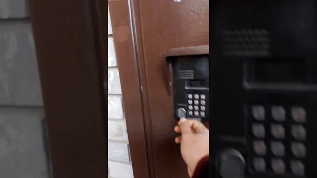 20231130 135218 смотреть онлайн