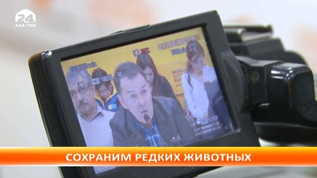 Как сохранить редкие виды животных? смотреть онлайн