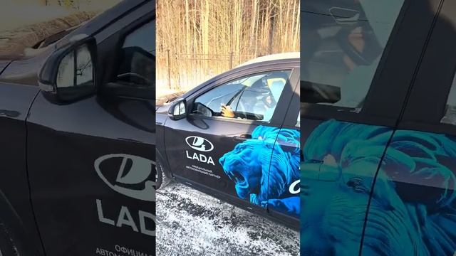 Тест-драйв от Кучо: «Лада топ!» смотреть онлайн