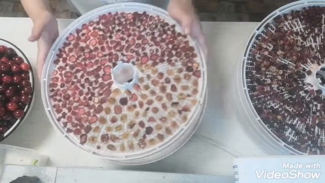 Фруктовая корзина из сухофруктов. Как сушу ягоды. Ezidri FD500. (06.20) 5AFamily смотреть онлайн