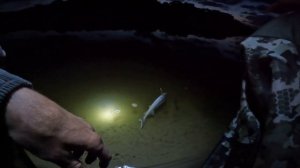 РЫБАЛКА НА ДЕДОВСКИЕ ДОНКИ НА СТАРОЙ ГЭС