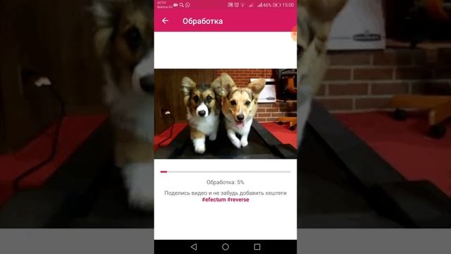Как я делаю видео наоборот смотреть онлайн