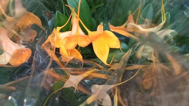 Такого крутого завоза давно не было. Такие только зимой. Оптовая база, пер Промышленный 4.