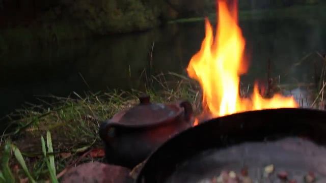 Карбонара , кулинария в лесу. смотреть онлайн