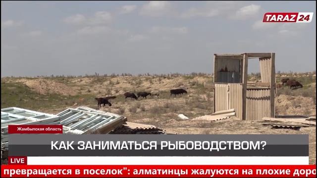 КАК ЗАНИМАТЬСЯ РЫБОВОДСТВОМ? смотреть онлайн