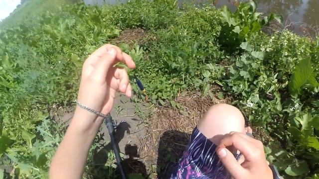 СОБСТВЕННЫЙ ПРУД ! ТОЛСТОЛОБ ХИЩНИК ! РАКИ НА ПОПЛАВОК! смотреть онлайн