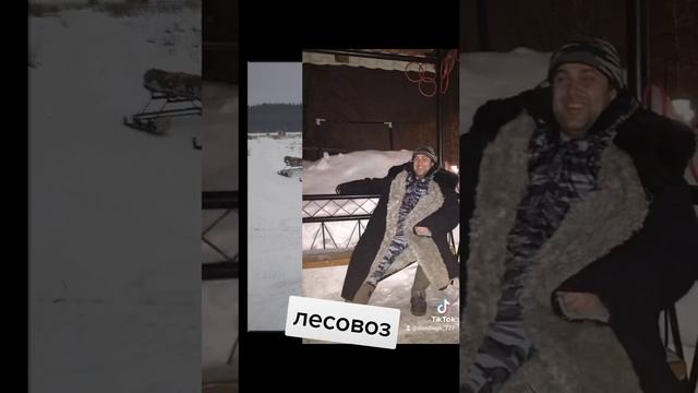 динго т 150 смотреть онлайн
