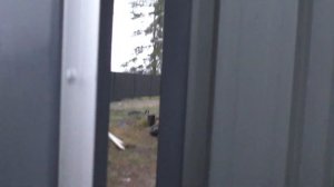 Забор на Винтовых Сваях евро Штакетник "под ключ"