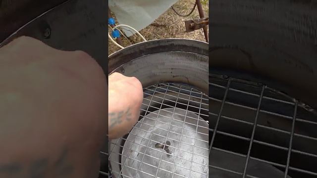 Коптильня своими руками смотреть онлайн
