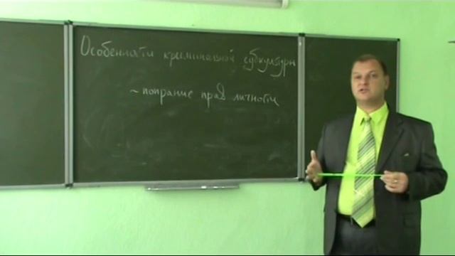 Криминальная субкультура, ее структура