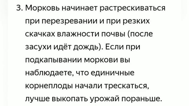 Когда лучше убирать морковку с гряд. Какой способ хранения выбрать смотреть онлайн