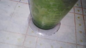 Как приготовить сок Алоэ в домашних условиях от язвы желудка гастрита и ОРВИ