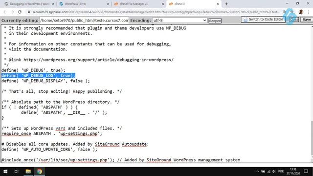 39005 - Curso Debug WordPress - WP Debug Display смотреть онлайн