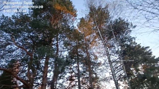 Гранитный памятник на фундаменте "Ритуальные плиты" тёмного цвета. Скидка 20% до 1 марта 2023 г. смотреть онлайн