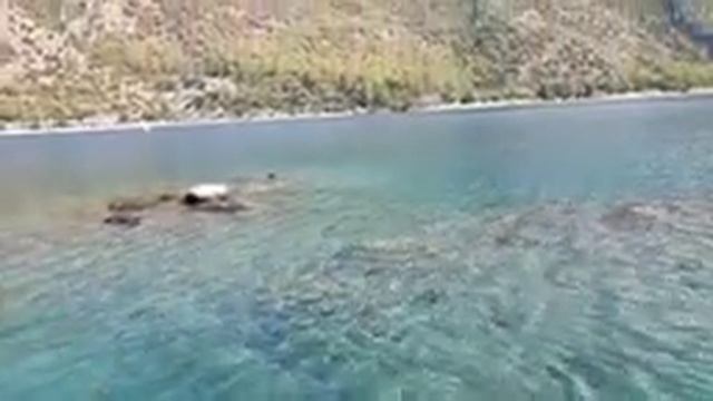 Турция 2021, октябрь. Олюдениз. Отпуск с детьми. Параглайдинг. Видео из семейного архива смотреть онлайн