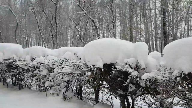 Сибирские просторы. А снег идет, а снег идет... смотреть онлайн