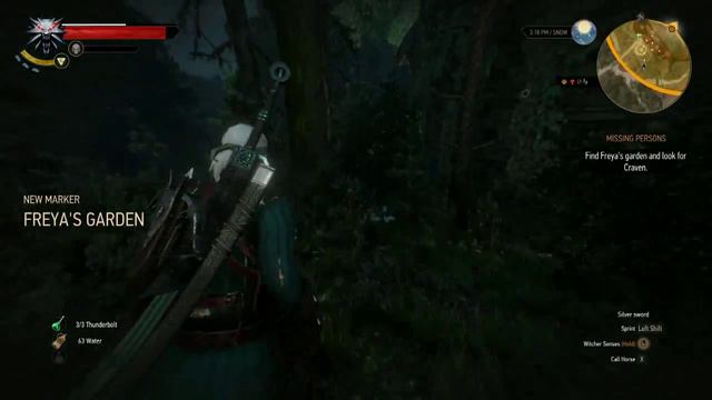 The Witcher 3: Wild Hunt Gameplay Walkthrough Part 49 -Echoes Of The Past/Missing Persons/Nameless смотреть онлайн